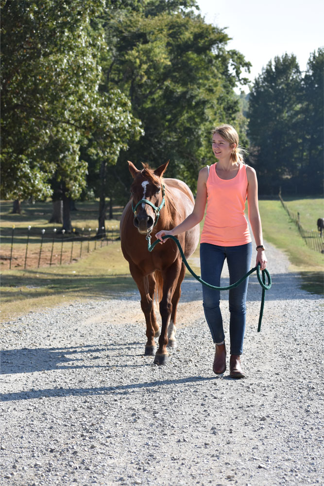 student_leading_horse