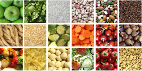 Dietetics what are subjects Dietetics what are subjects