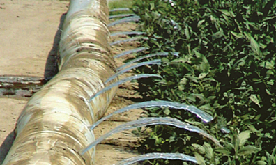Field Irrigation Photos