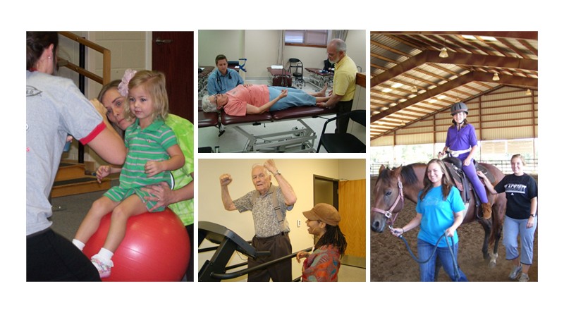 Physical Therapy Bachelors Degree Programs