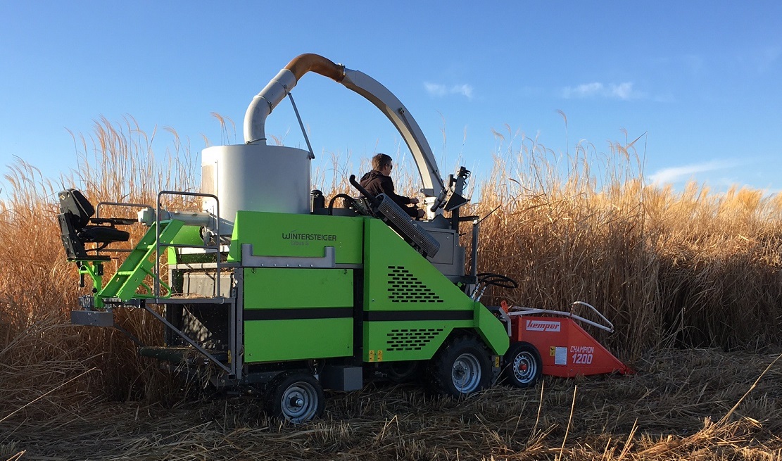 Miscanthus Harvest