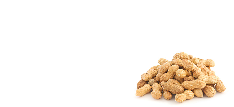 A pile of peanuts on a white background