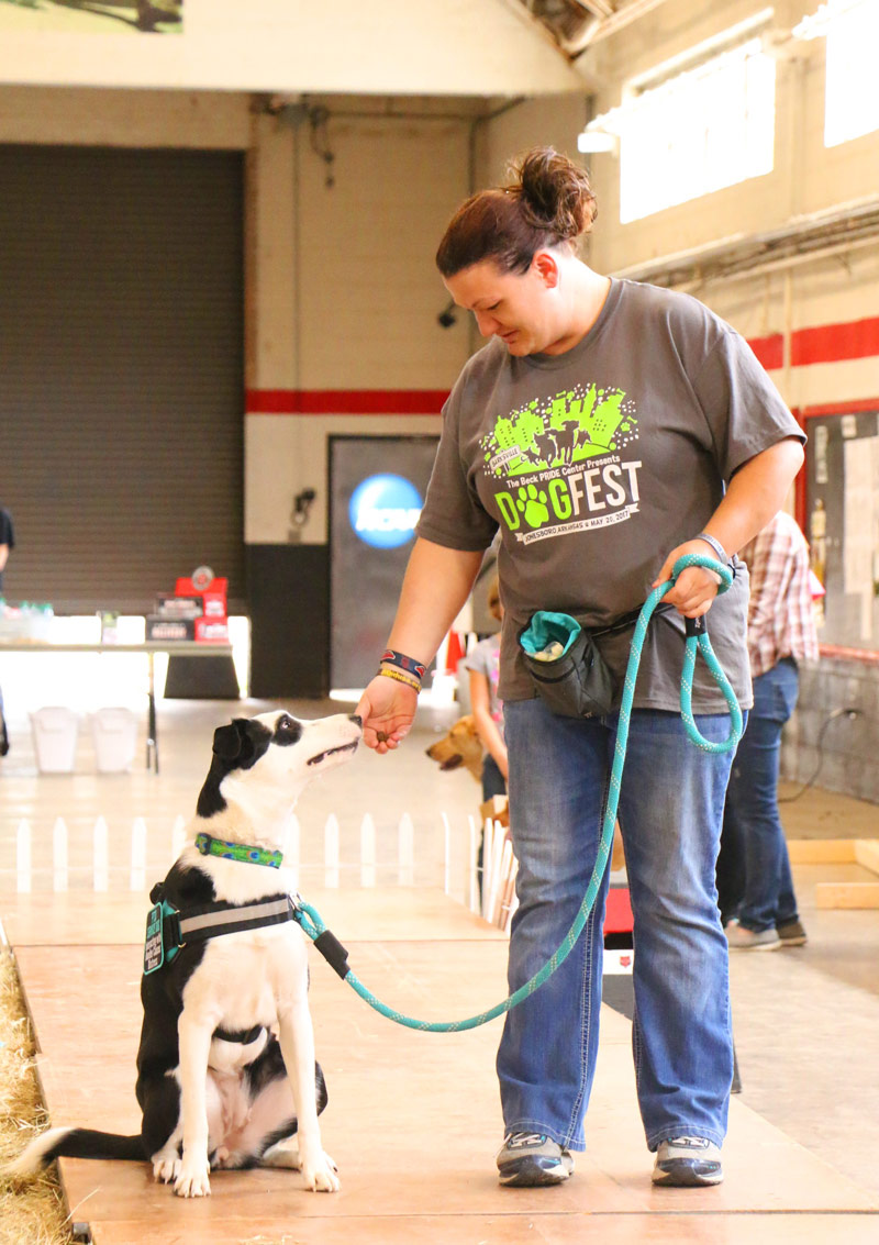 A dog receives a treat from her owner