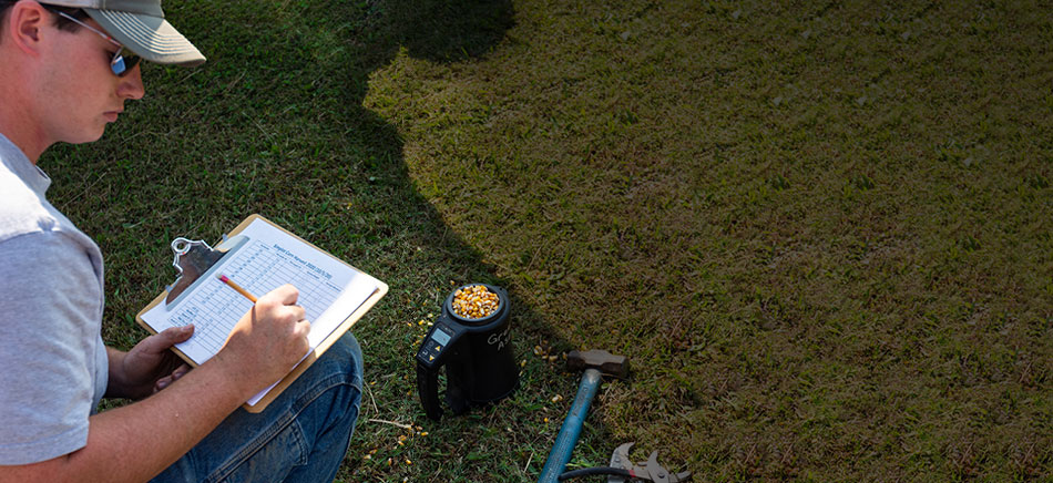A student recording grain yield in the field.