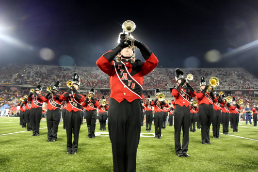 The sound of the natural state performing on the field