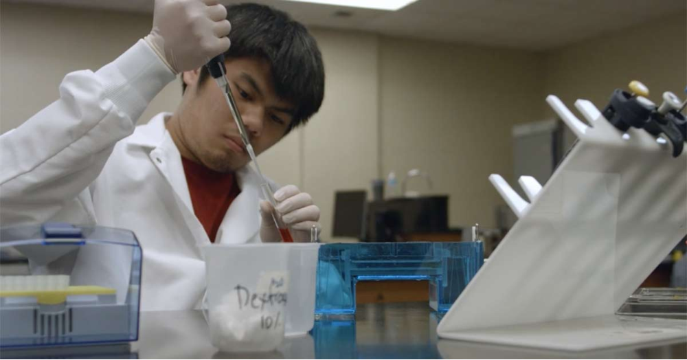 Writing for the Sciences