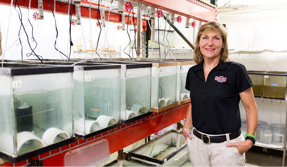 Get to Know the Faculty: Dr. Jennifer Bouldin