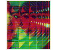 Scott Campbell: Sound and Vision, Spring 2013