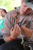 Joe Youtz was taking a turn to admire this snake at the state park.