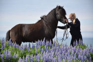 A woman holding a horses reins in a purple flower field