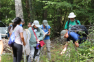 First guided hike of the trip - Theo Witsell points out a plant species to students and faculty.