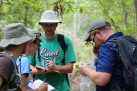 Dylan DeRouen, Diana Soteropoulos, Dr. Travis Marsico and Theo Witsell describing a plant species in their observations during the first guided hike.