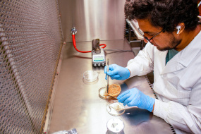 Lab Student working with Plant Cells