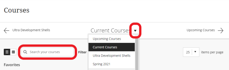 FilterCourses.png