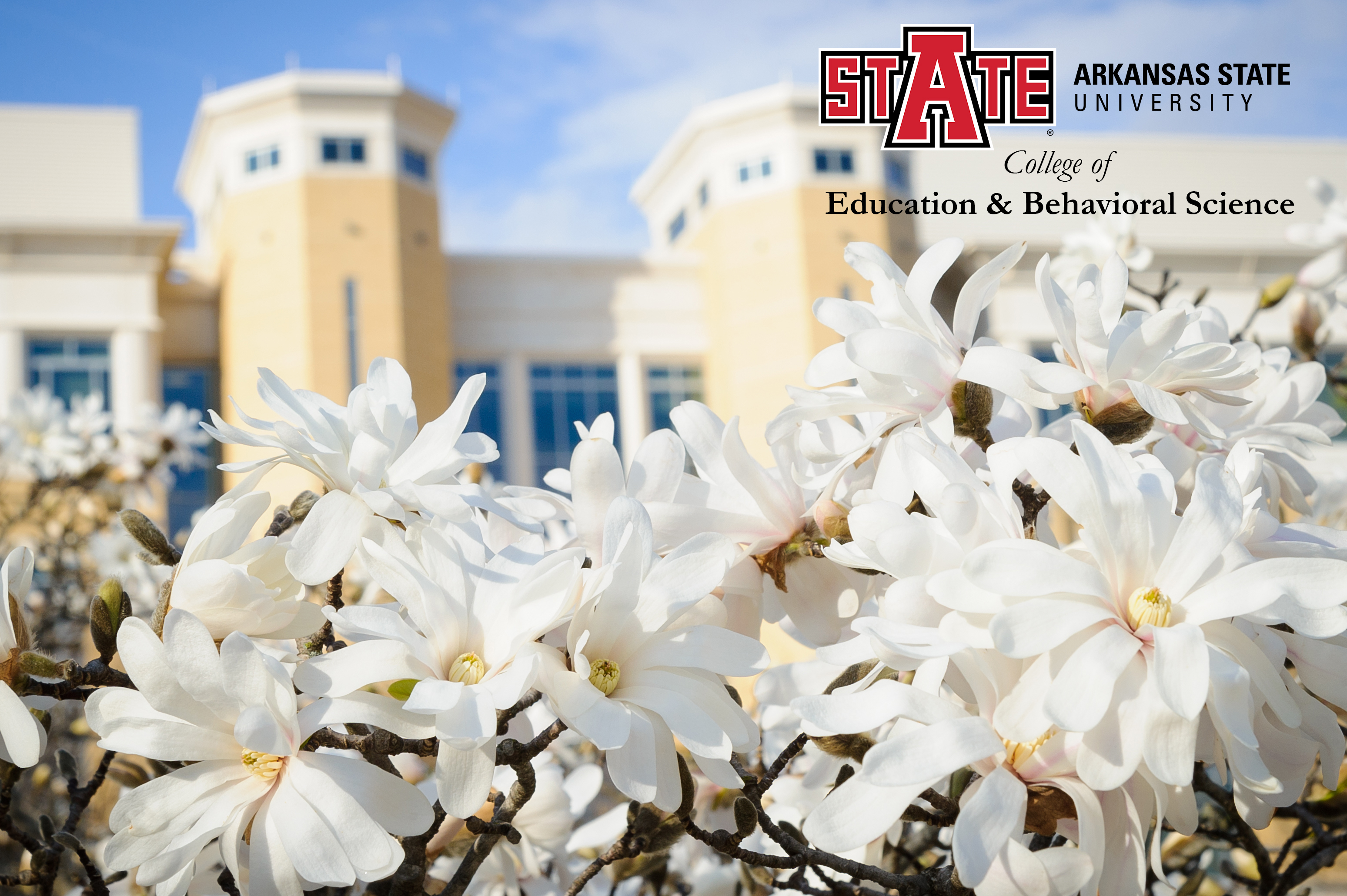 COEBSWebsitepicture_Spring22.jpg