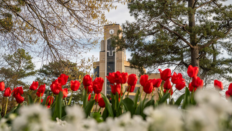 Tulip-bell-tower.jpg