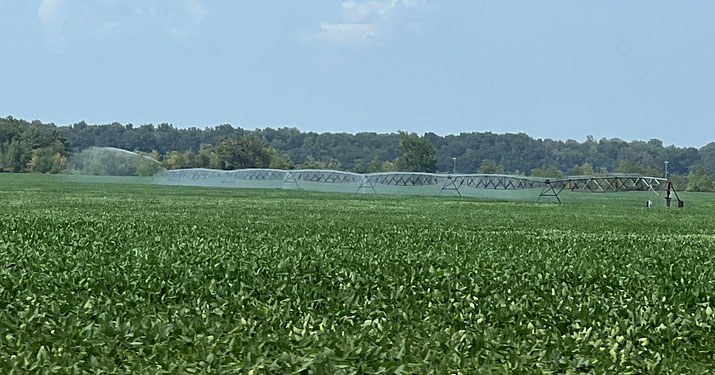 Irrigation-system.jpg