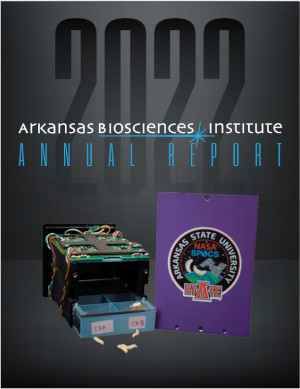 ABI Annual Report Fyr 2022