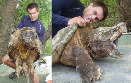 Jonathan Elston with a turtle