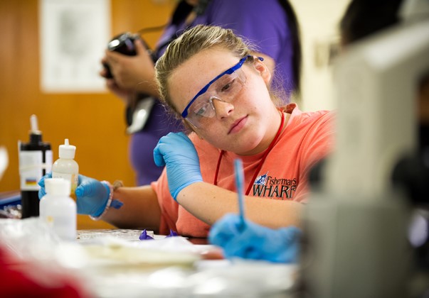 Summer Camp Academy Features STEAM Activities
