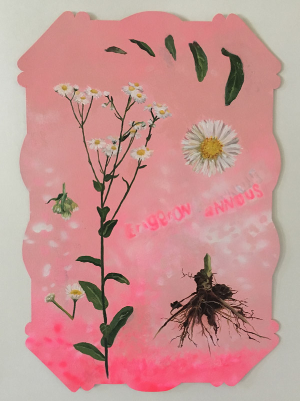 New Season of Exhibitions Opens at Bradbury Art Museum