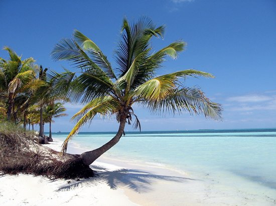 HPMEC to Host Cuban Themed Evening Event