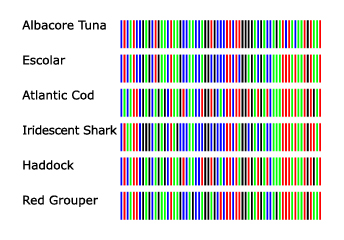 Fish DNA Comparison