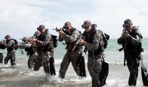 Combat Divers