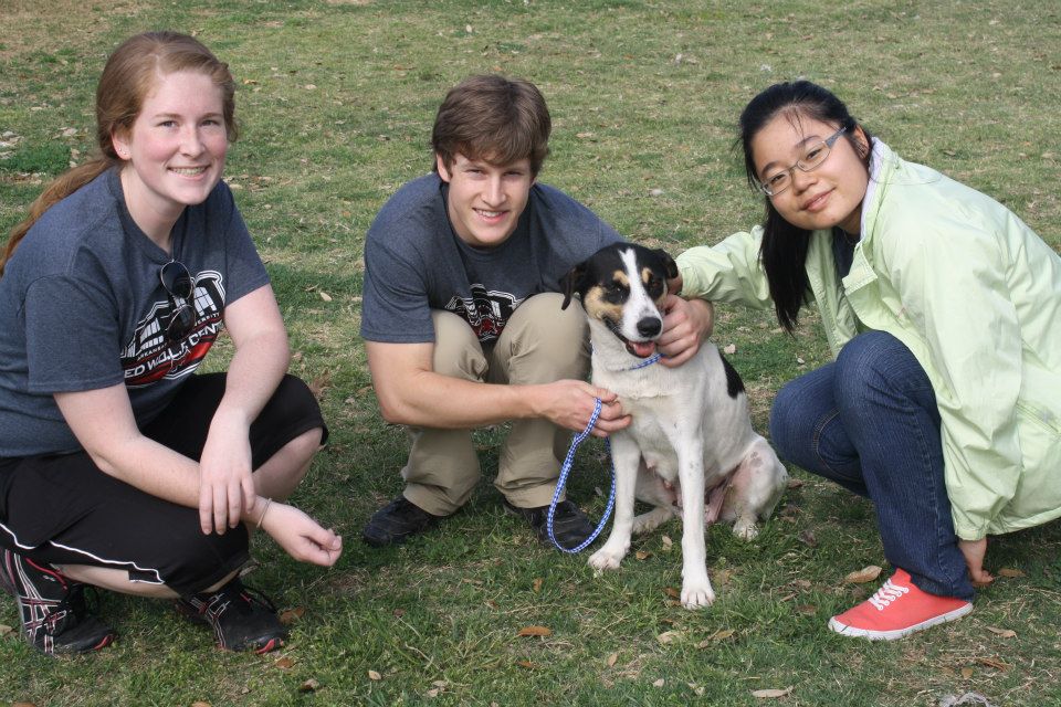 Alternative Spring Break