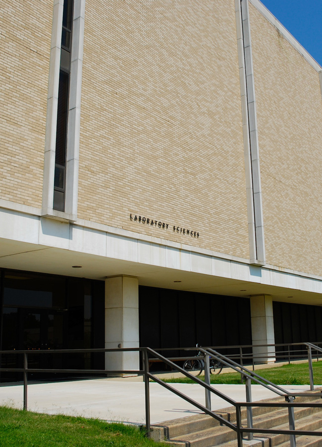 College of Sciences and Mathematics Honors Top 2019-20 Graduates