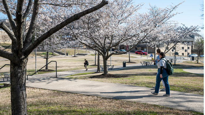 Female Faculty Members Share Experiences with Gender and Higher Education