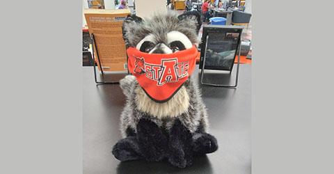 Stuffed Raccoon at Service Desk