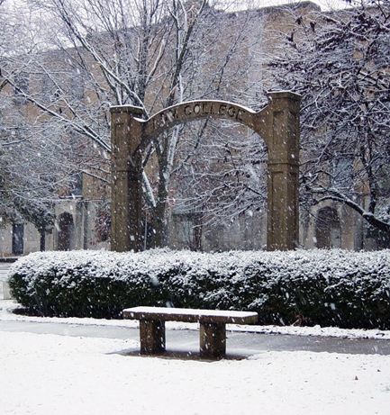 A December Snowfall