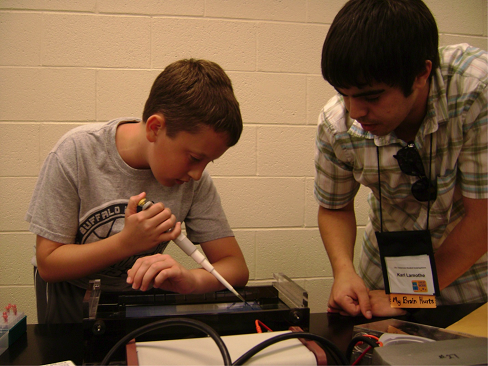 Students working for the Science Festival