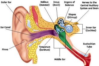 Assisted Listening Device Lab