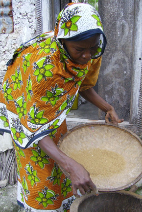 Woman With Winnowing Tray