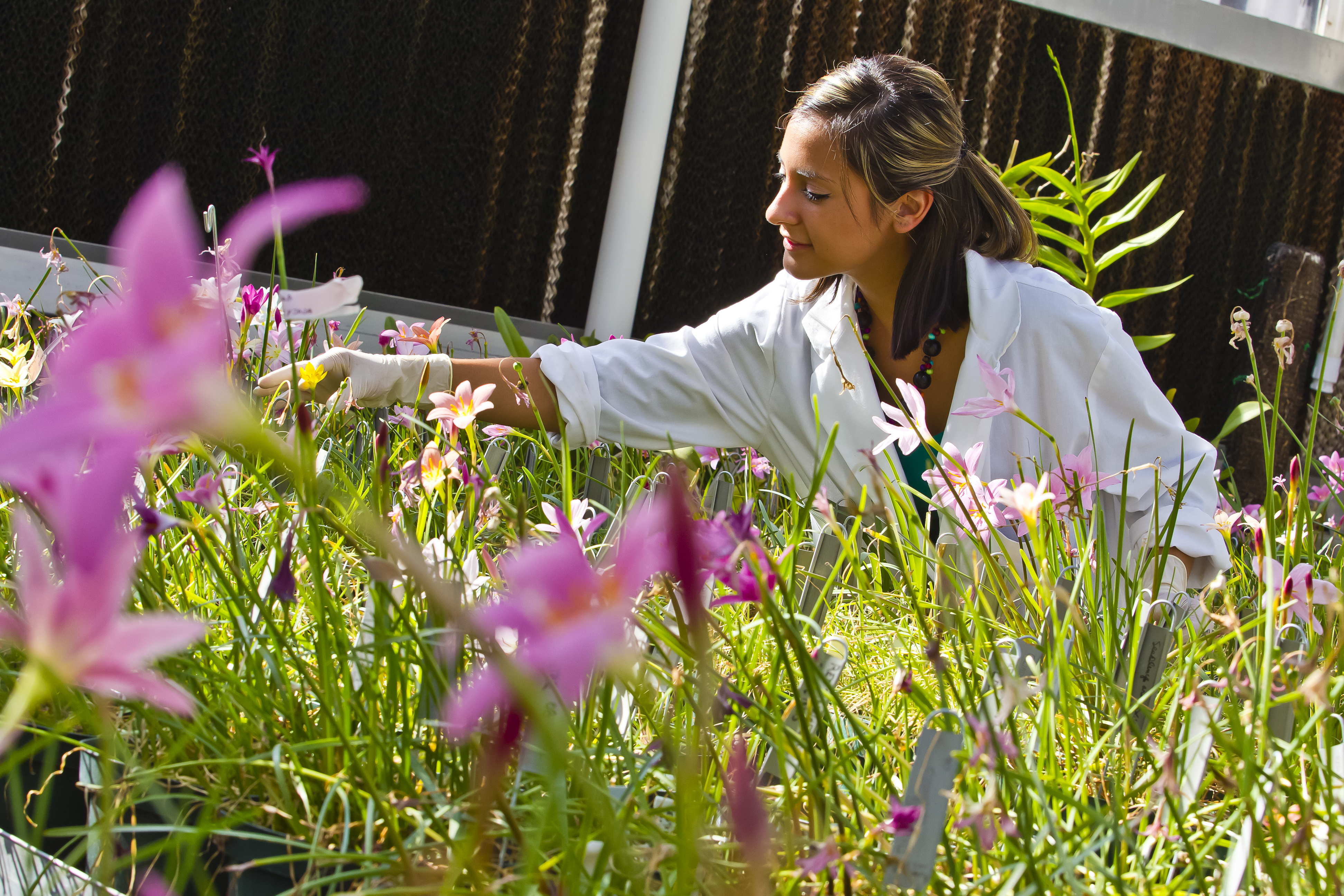 student working with flowers