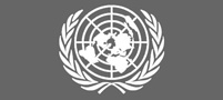 Model UN logo