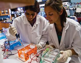 Researchers at ASU
