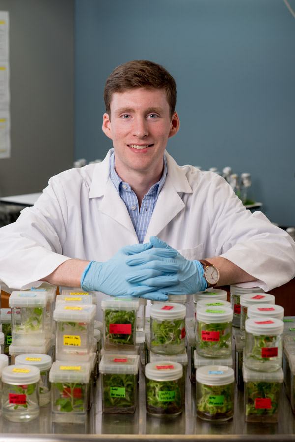 Research Spotlight: Producing Healthier Foods