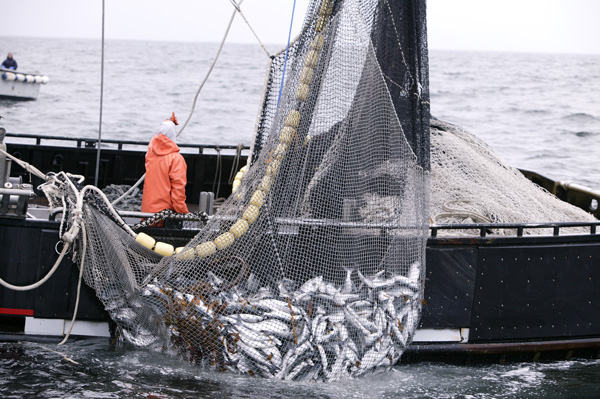 Fishing Boat