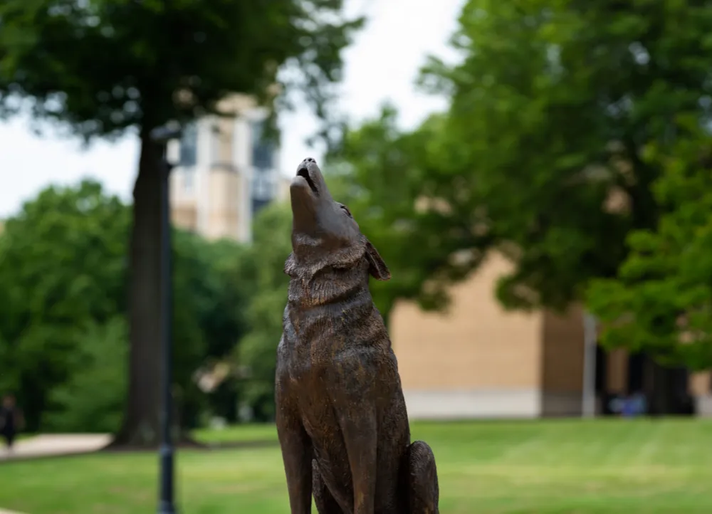 Red Wolf Statue on campus outside during a nice day.