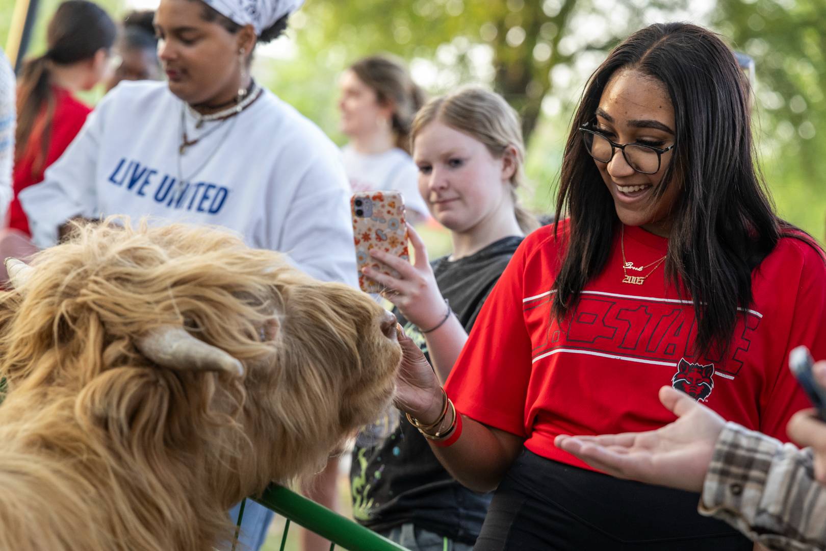 A student petting a highland cow.