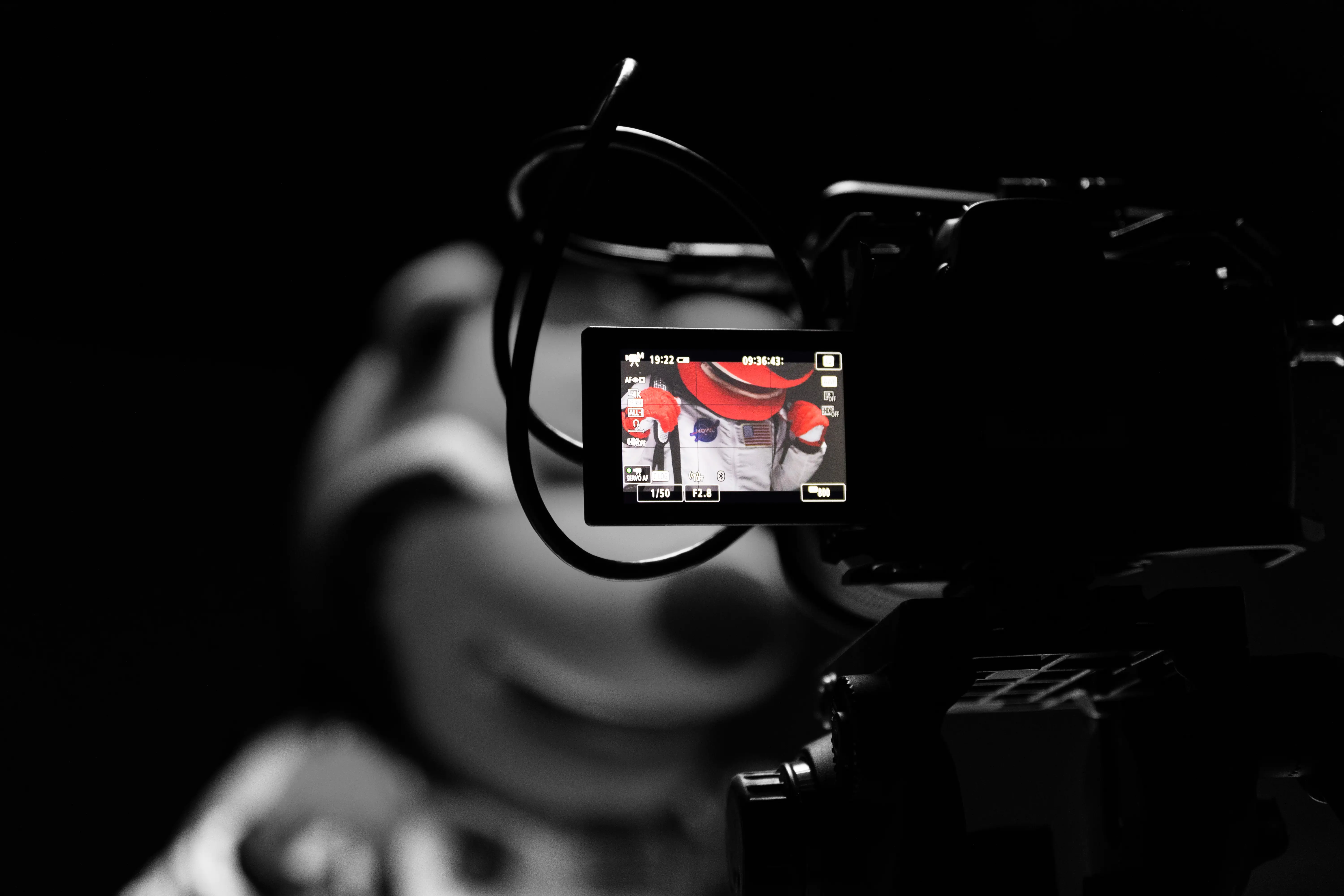 A photo of Howl seen through the viewfinder of a camera.