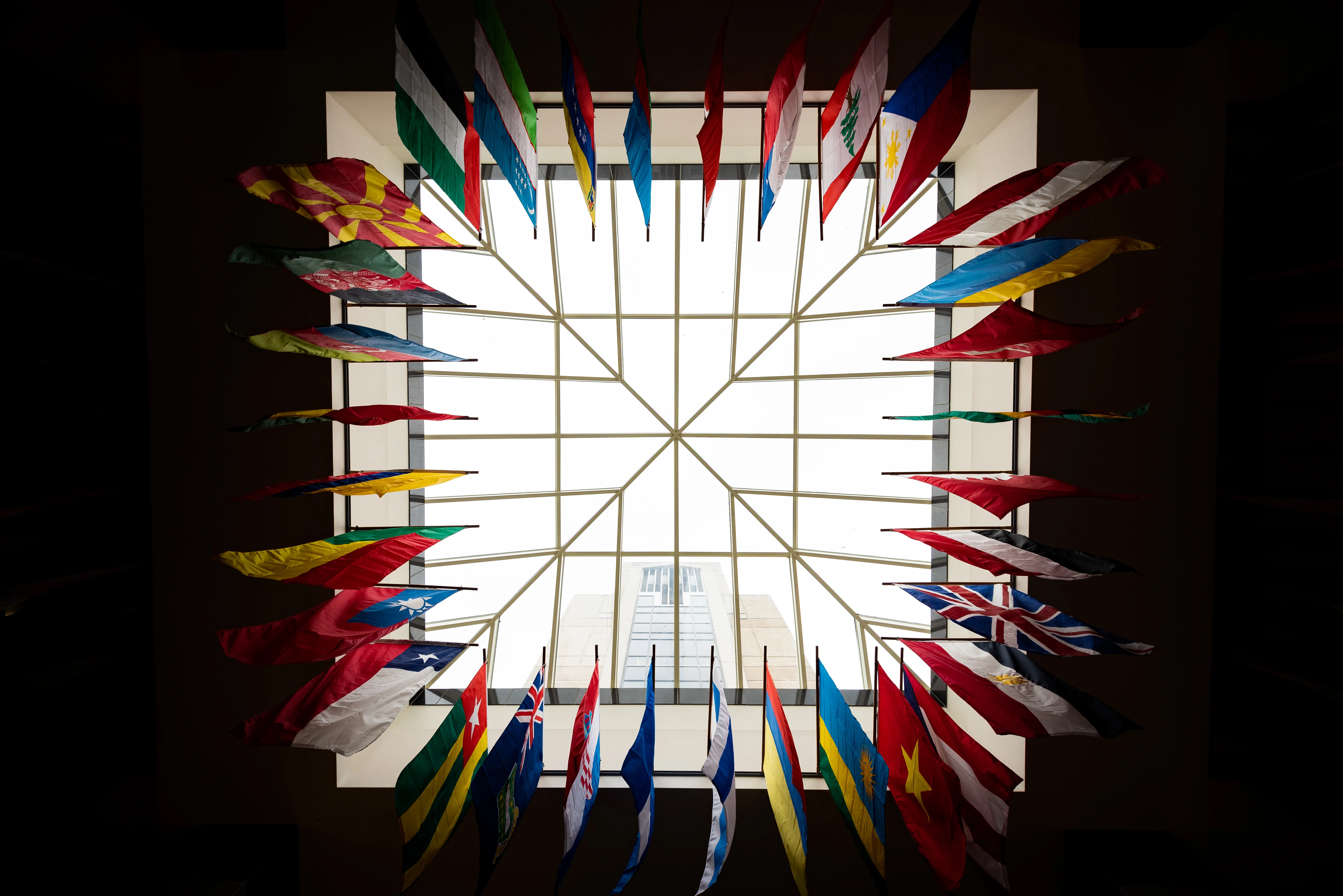 International Flags in Library
