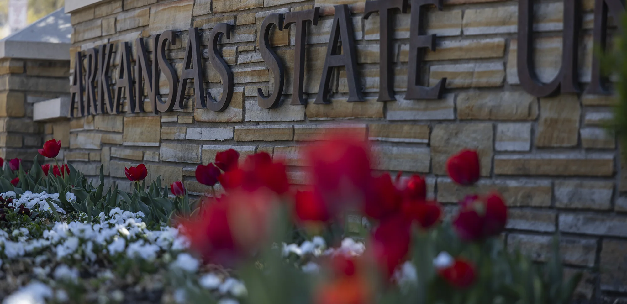 Flowers framing the Arkansas State University sign.