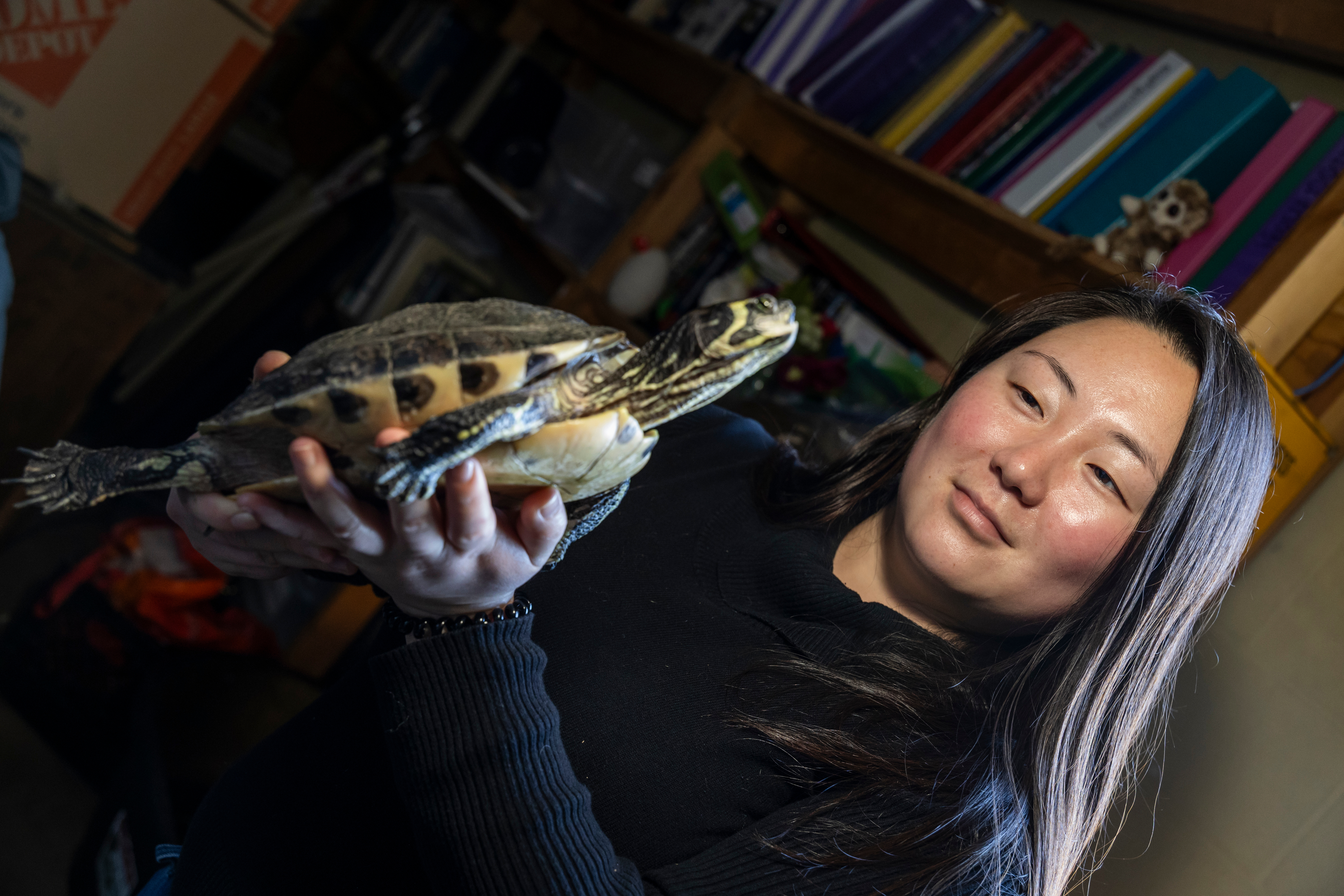 A student holding up a turtle for inspection.