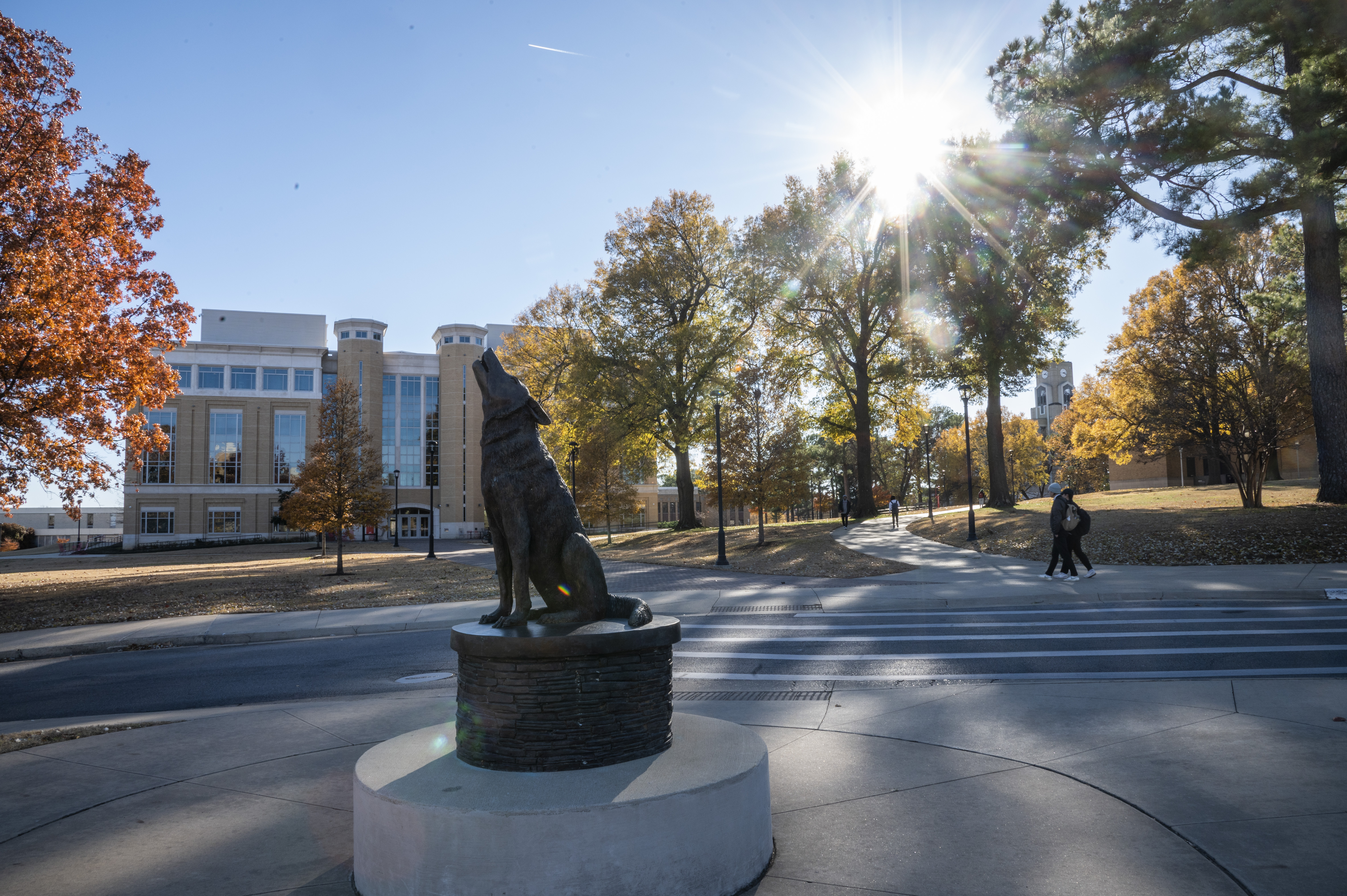 Photo of the red wolf statue in front of the HSS building.