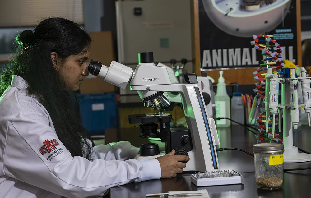 A student in an A-State labcoat using a microscope.