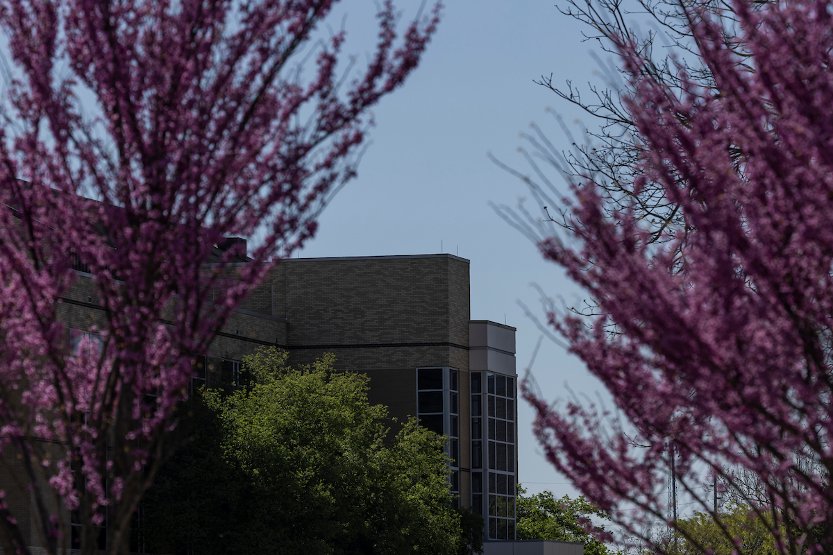 Tall “blonde brick” buildings can be found all over campus surrounded by beautiful trees.
